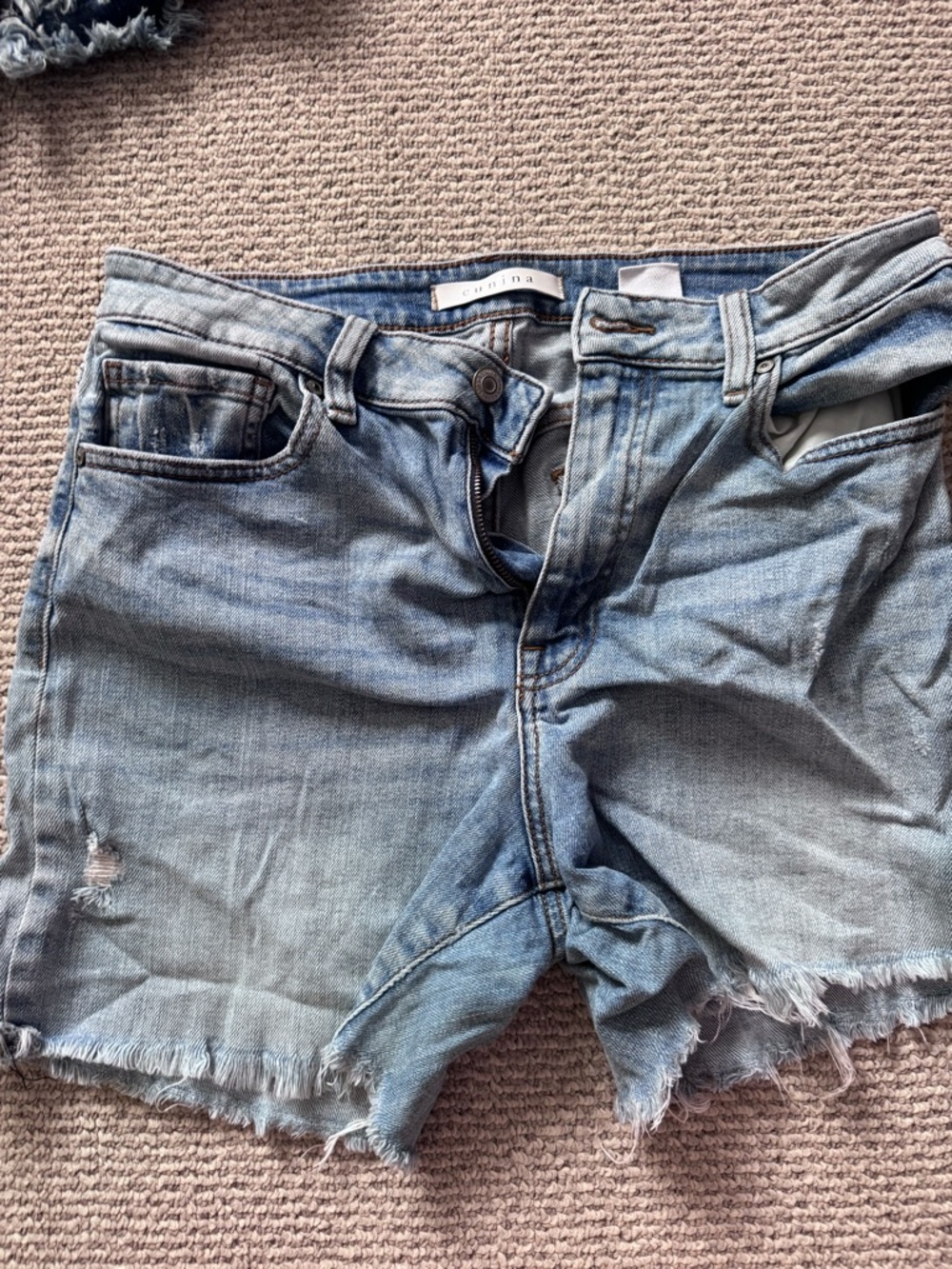 eunina Faded Light Blue Distressed Denim Cutoff Shorts